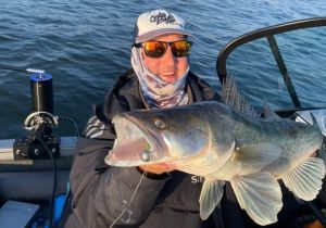 Автоматичен ротатор PROBAITS за Panoptix и Active Target