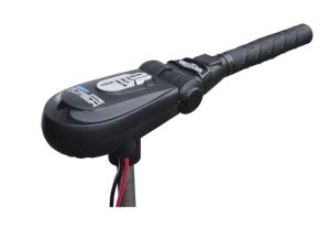 Haswing Protruar 3.0, 24V