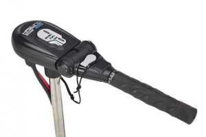 Haswing Protruar 5.0, 24V