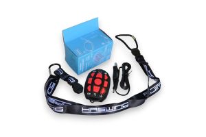 Haswing Remote Control