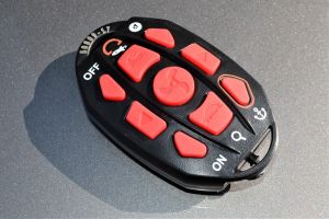 Haswing Remote Control
